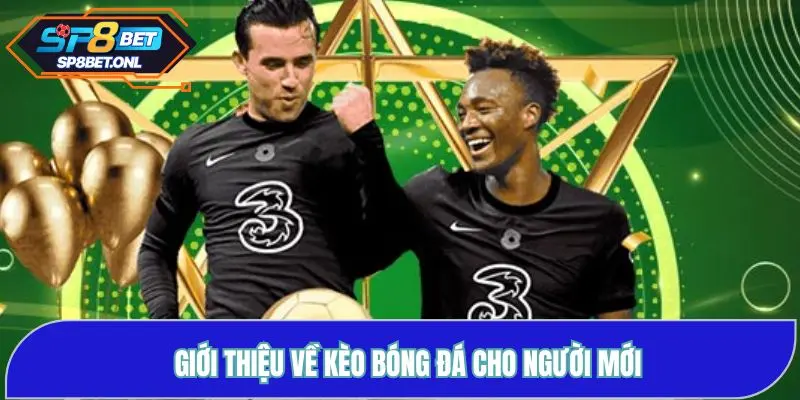 Giới thiệu về kèo bóng đá cho người mới