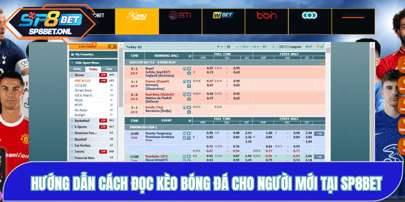 Hướng Dẫn Cách Đọc Kèo Bóng Đá Cho Người Mới Tại SP8BET