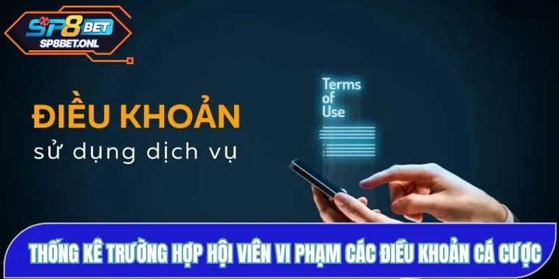 Thống kê trường hợp hội viên vi phạm các điều khoản cá cược