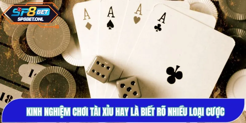Các loại Tài Xỉu phổ biến tại SP8BET