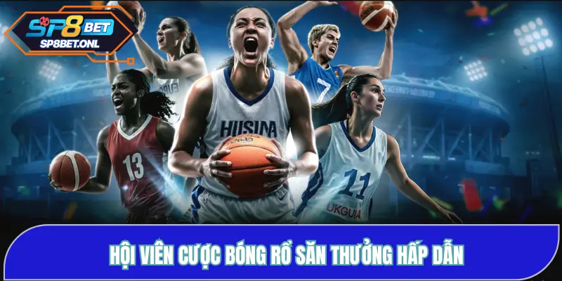 Hội viên cược bóng rổ săn thưởng hấp dẫn